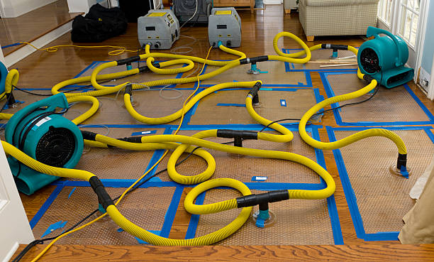 Professional Water Damage Restoration technician working in West Friendship, MD